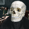 https://www.jo99.fr/wp-content/uploads/2012/07/avatar-tete-de-mort-sado.gif